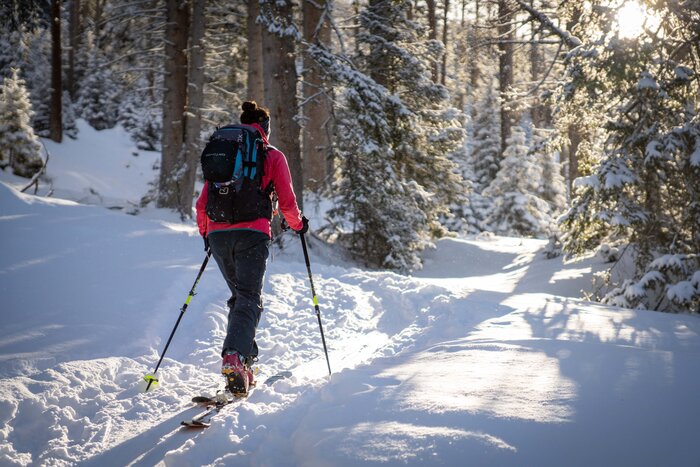 Female ski tourer climbs through snowy Graukogel forest in sunshine and backlight | © Gasteinertal Tourismus GmbH, Christoph Oberschneider