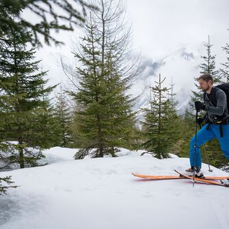 Ski tourer climbs through snowy terrain among young conifers in misty mountain area | © Gasteinertal Tourismus GmbH, Christoph Oberschneider