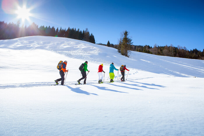 Fünf Schneeschuhwanderer gehen in einer verschneiten Wiese und im Hintergrund sind Bäume zu sehen | © Tourismusverband Großarltal