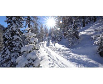Verschneiter Winterwanderweg durch den Wald mit Sonnenschein auf dem Weg zur Karseggalm