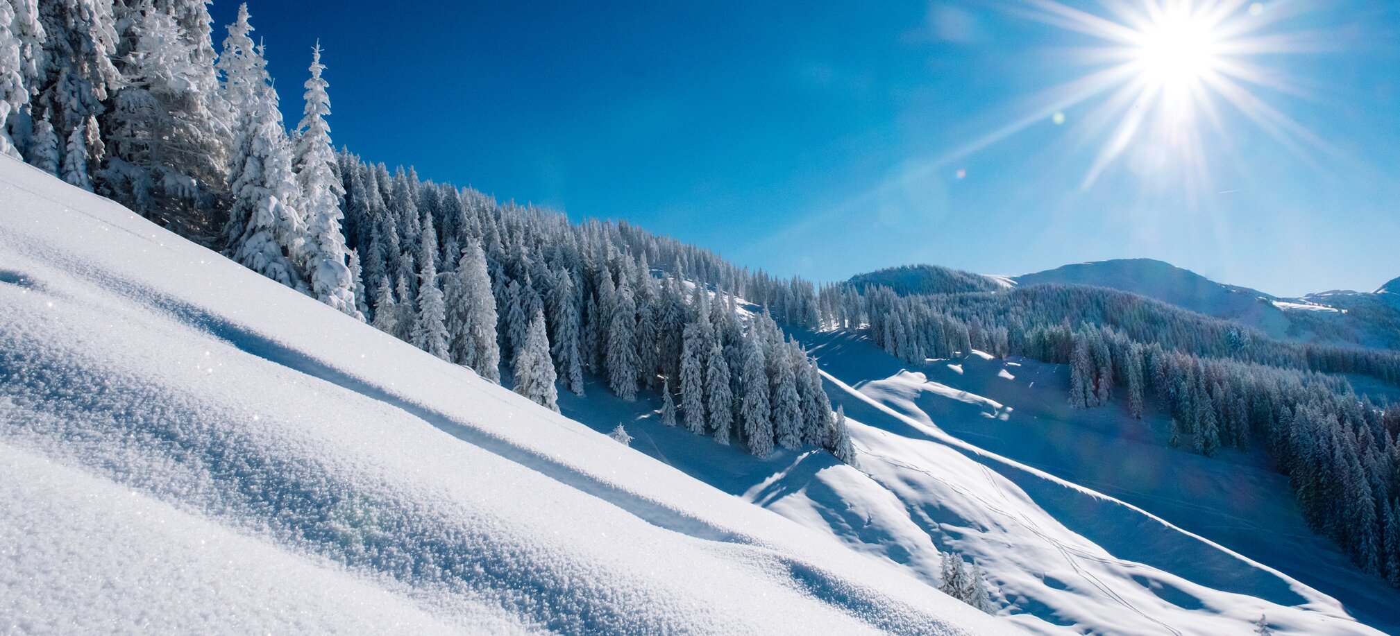 Beim Skifahren wunderschöne alpine Landschaften genießen in Ski amadé