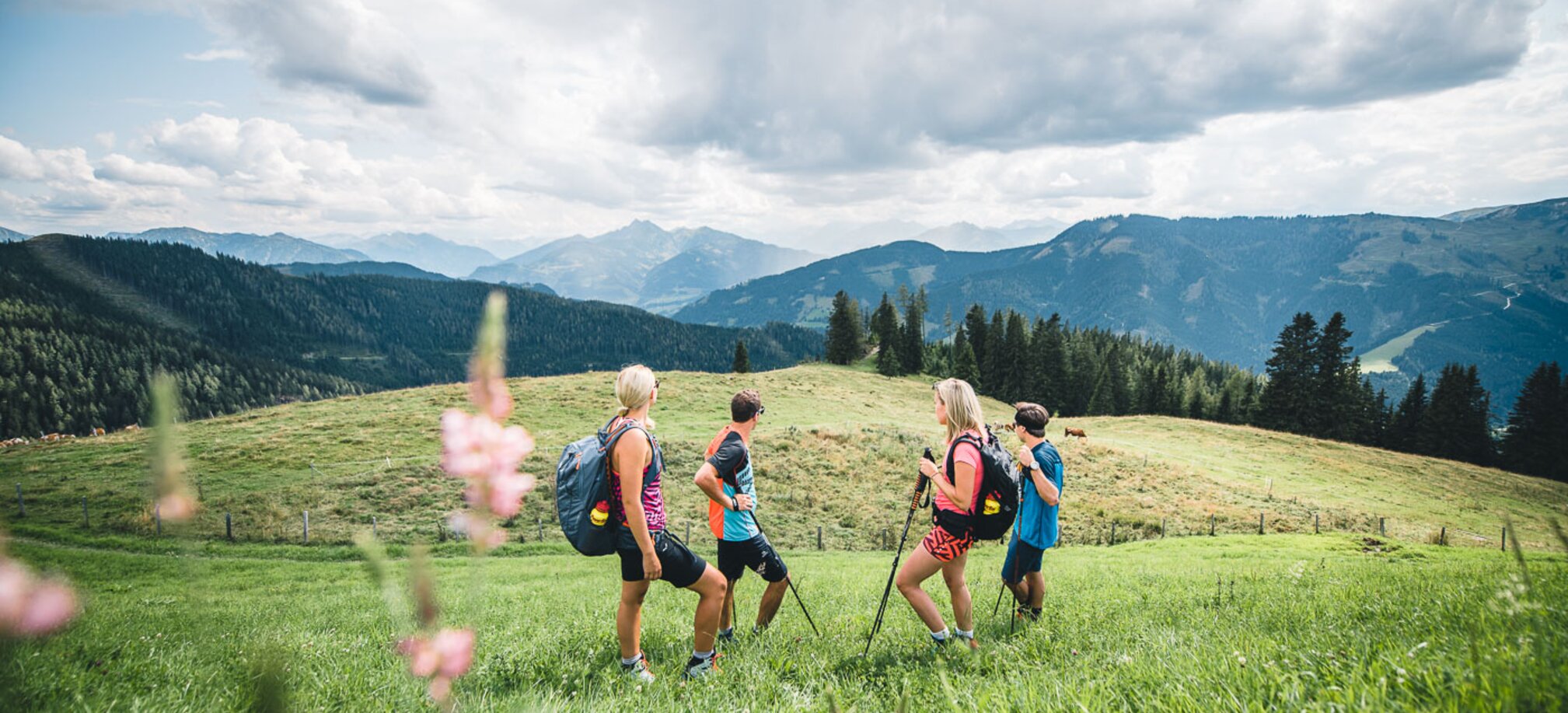 Wandern auf den Wanderwegen über die Bergwiesen am Hochkönig im Sommerurlaub in Ski amadé | © Hochkönig Tourismus GmbH