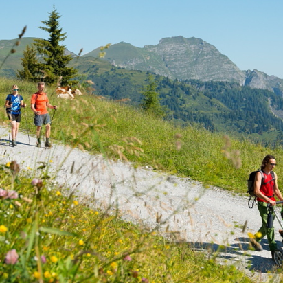 Families hike a wide trail in Großarltal, passing cows and meadows, with mountain views and a yellow cable car above. | © Gruber Michael