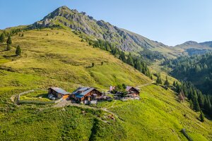 Almhütte auf grüner Alm im Großarltal mit Weide, Wanderweg und Berggipfel in sommerlicher Landschaft | © Gipfelfieber