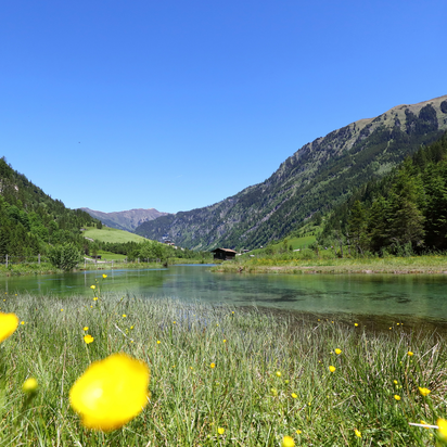 Sunny alpine meadow with yellow flowers by a clear lake at the valley end of Hüttschlag, surrounded by forests and mountains. | © TVB Großarltal