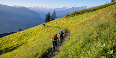 Zwei Mountainbiker fahren auf einem Singletrail durch eine blühende Wiese mit Blick auf das Großarltal und die Berge. | © mtb_travel