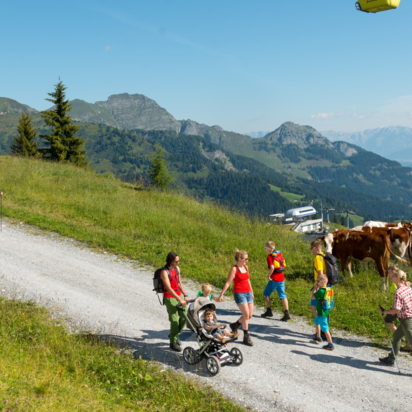 People walk up the mountain on a gravel road under a cable car | © Gruber Michael