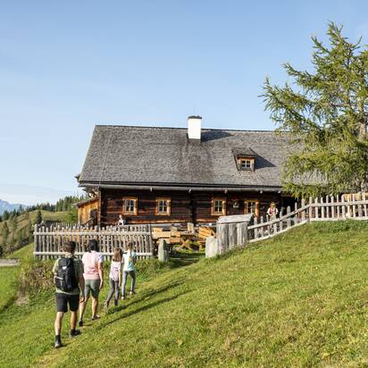 Four hikers walk uphill to a rustic alpine hut in Großarltal, surrounded by green meadows and scenic views of mountain peaks | © Lorenz Masser