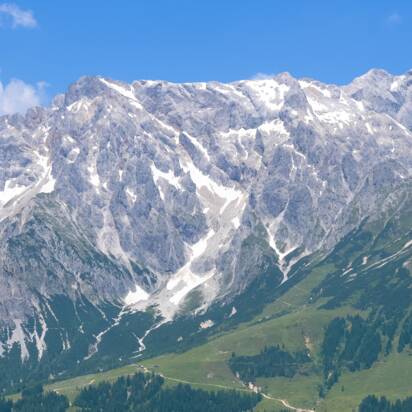 Four hikers ascend blooming alpine meadow in sunshine with panoramic view of the impressive Hochkönig mountain massif