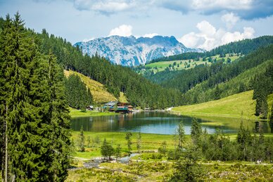 View of Lake Steirischer Bodensee with surrounding forest, green hills and striking mountain range in the background | © René Eduard Perhab