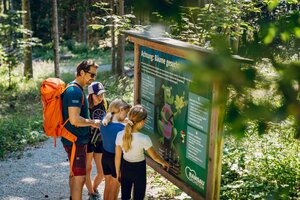 A man with a backpack and three children look at an information board on a forest path in Ramsau am Dachstein | © TVB Schladming-Dachstein, Christine Höflehner