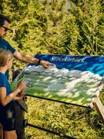 A man points at a wooden panorama board with a girl at the forest edge in Ramsau am Dachstein | © TVB Schladming-Dachstein, Christine Höflehner