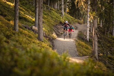 Zwei Mountainbiker in Schutzausrüstung fahren bei tiefstehender Sonne durch einen kurvigen Waldtrail im Bikepark. | © Roland Haschka