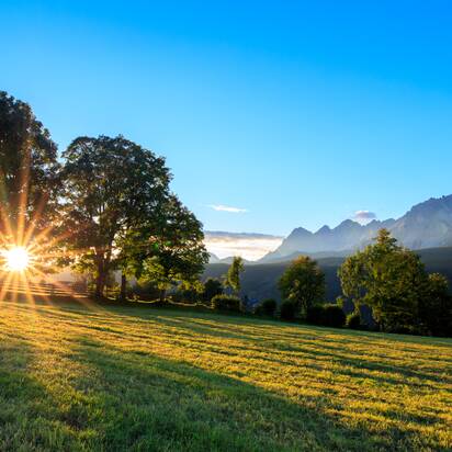Sunlight beams through trees onto a meadow in Rohrmoos, with the mountains of the Schladminger Tauern in the background | © photo austria