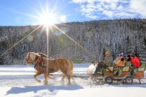 Two horses pull a sleigh with four people through a snowy winter landscape in bright sunshine | © Michael Simonlehner