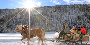 Two horses pull a sleigh with four people through a snowy winter landscape in bright sunshine | © Michael Simonlehner
