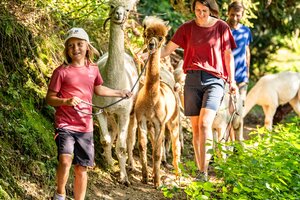 Child and parents lead alpacas on shady forest path in sunny weather | © TVB Eben