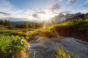 Ein Gebirgsbach in Filzmoos fließt im Sonnenuntergang durch grüne Almwiesen mit Blick auf das Dachsteinmassiv im Hintergrund | © CoenWeesjes | Filzmoos Tourismus