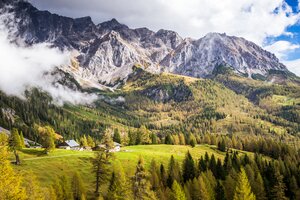 Die Bachlalm liegt unterhalb der steilen Dachstein-Südwand, umgeben von Lärchenwald, Wiesen und dramatischem Wolkenspiel | © CoenWeesjes