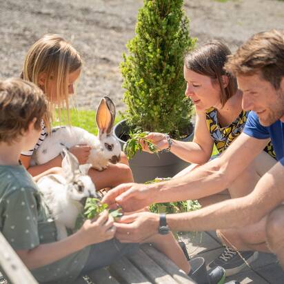 Family with two children feeds two white rabbits outdoors beside a bench in sunny summer weather. | © TVB Eben, Nina Kraxner