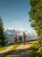 Zwei Mountainbiker fahren auf einem Waldweg mit Blick auf das Dachsteinmassiv, umgeben von grünen Bäumen und Wiesen. | © Altenmarkt-Zauchensee Tourismus/Lorenz Masser