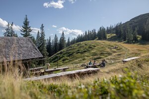 People at wooden tables by alpine hut with pasture slope and fir trees in summer | © Michael Grössinger