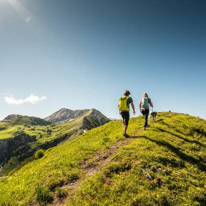 Zwei Wanderer gehen mit Hund über einen grünen Höhenweg bei Altenmarkt-Zauchensee unter blauem Himmel | © Salzburger Sportwelt, Lorenz Masser