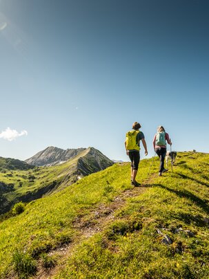 Two hikers walk with a dog along a green ridge trail near Altenmarkt-Zauchensee under a clear blue sky | © Salzburger Sportwelt, Lorenz Masser