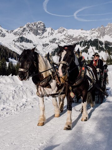 A horse-drawn sleigh with two horses glides through the snowy mountain landscape. | © Chris Perkles
