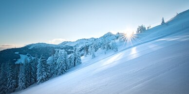Strahlende Sonne über einer präparierten Skipiste mit verschneiten Bäumen. | © Ski amadé
