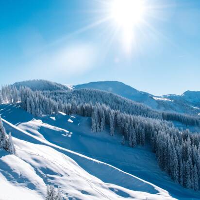 Verschneite Hänge und Tannen unter strahlendem Sonnenschein | © Ski amadé